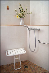 Image of disabled shower hand held sprayer