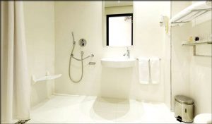 image of wheelchair accessible shower features